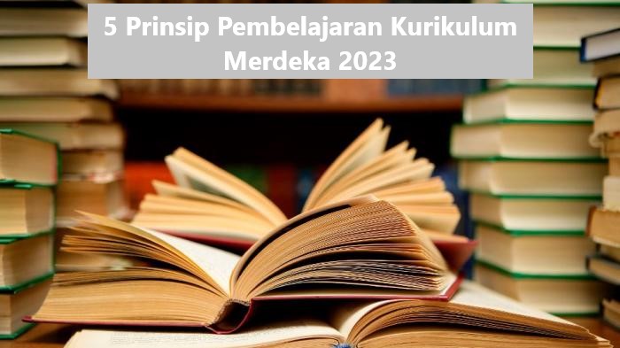 5 Prinsip Pembelajaran Kurikulum Merdeka 2023